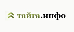 «Цензурная удавка на шее театра и литературы затянута по-разному». Что дал Новосибирску фестиваль «Внезапно»